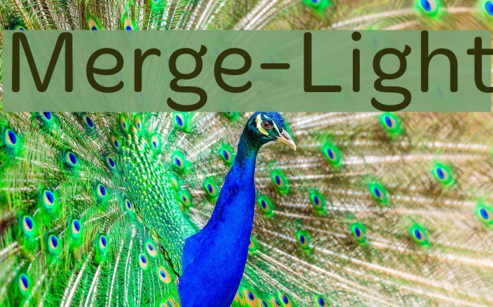 Merge-Light Font examples