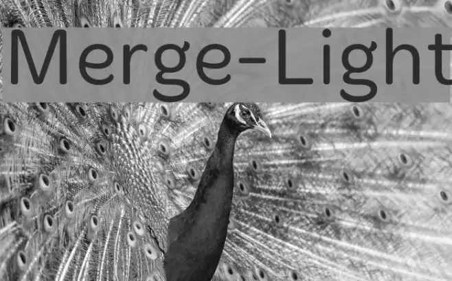 Merge-Light Example 3