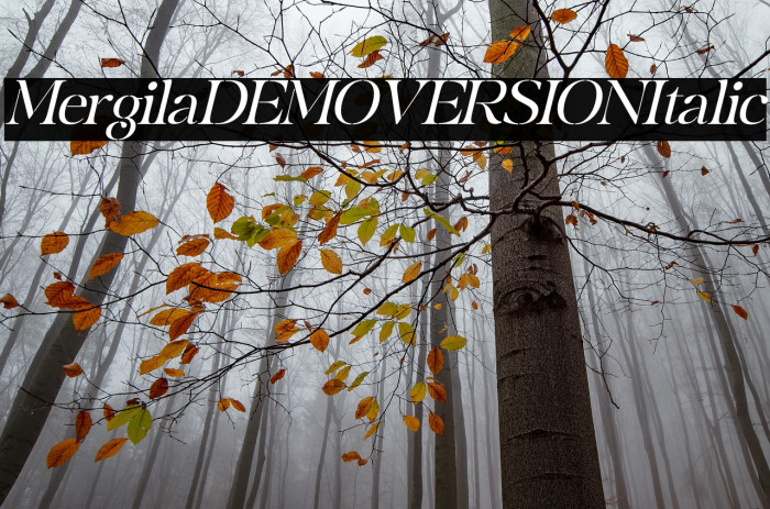 Mergila DEMO VERSION Italic Example 2