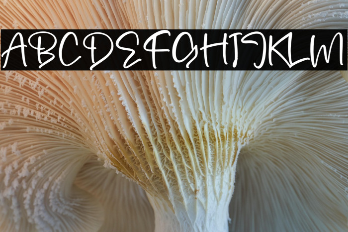 Mergolla Beauty Example 2