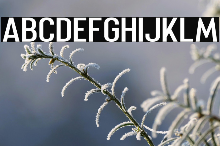 Merhique Bold Example 1