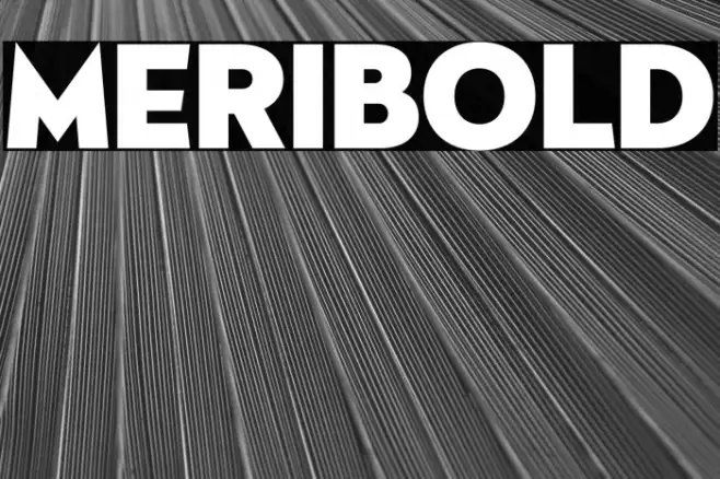 Meribold Example 1