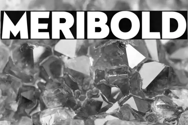 Meribold Example 3
