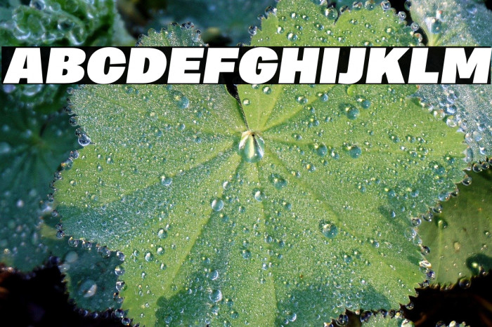 MericaFuturistBlackItalic PERSONAL USE ONLY examples