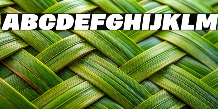 MericaFuturistBlackItalic PERSONAL USE ONLY examples