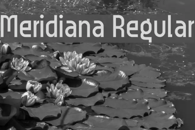 Meridiana Regular Polices examples
