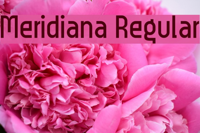 Meridiana Regular Font examples