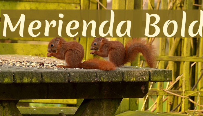 Merienda Bold Font examples