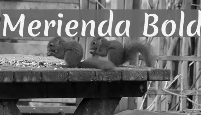 Merienda Bold Font examples