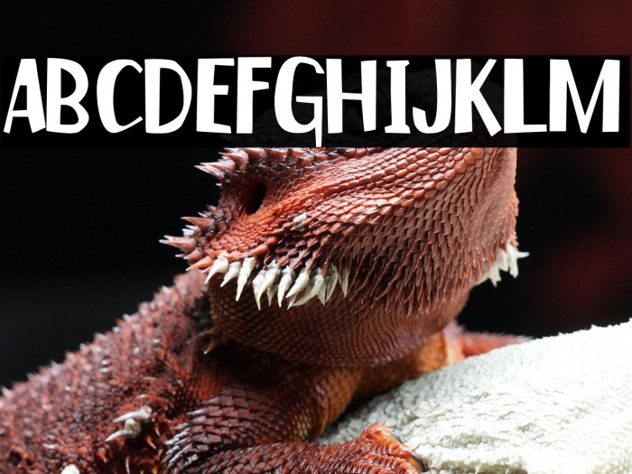 Merienda Española Example 1