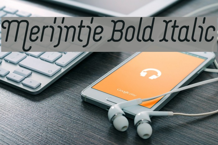 Merijntje Bold Italic Font examples