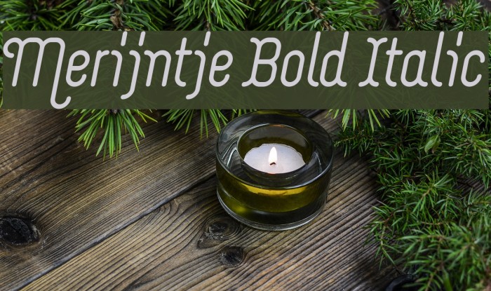 Merijntje Bold Italic Font examples