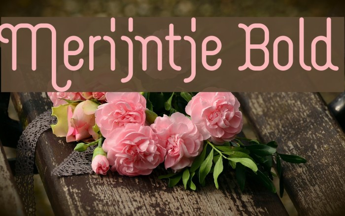 Merijntje Bold Example 1