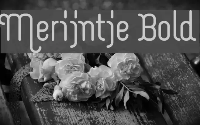 Merijntje Bold Font examples