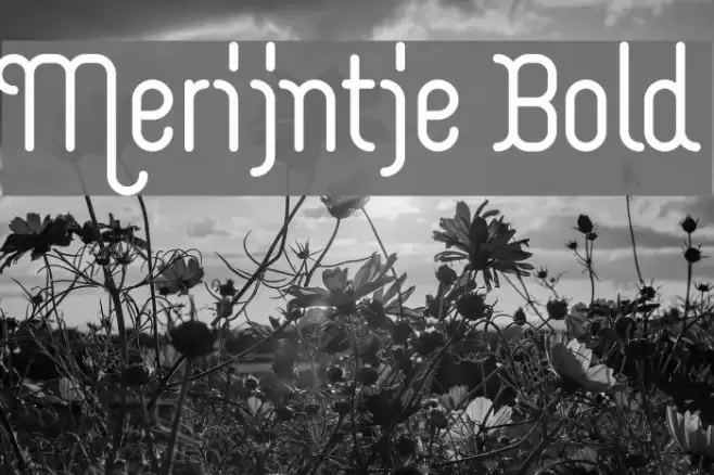 Merijntje Bold Font examples