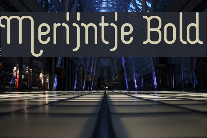 Merijntje Bold Example 3