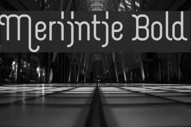 Merijntje Bold Font examples