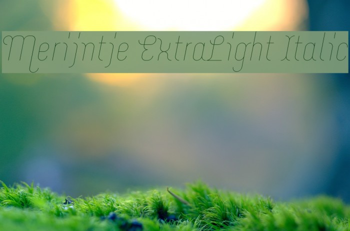 Merijntje ExtraLight Italic Font examples