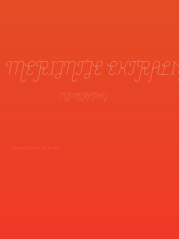Merijntje ExtraLight Italic Poster