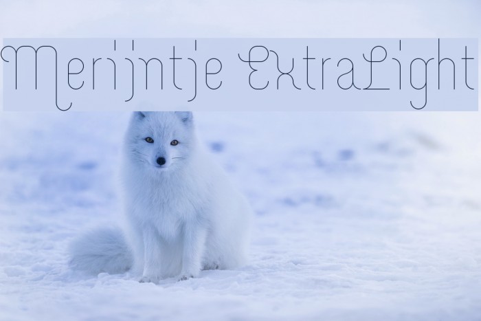 Merijntje ExtraLight Font examples