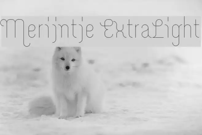 Merijntje ExtraLight Example 3