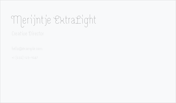 Merijntje ExtraLight Business Card