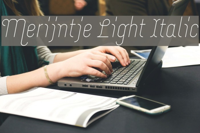 Merijntje Light Italic Font examples