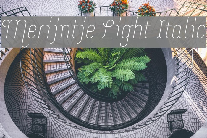 Merijntje Light Italic Font examples