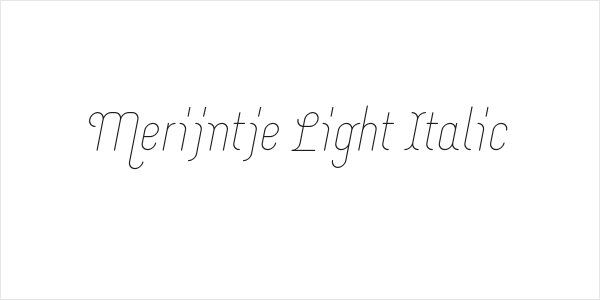 Merijntje Light Italic Logo