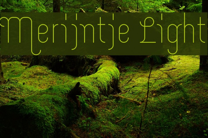 Merijntje Light Font examples