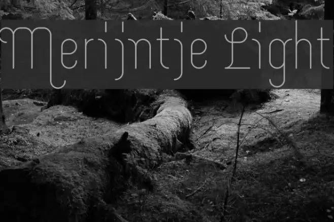 Merijntje Light Example 1
