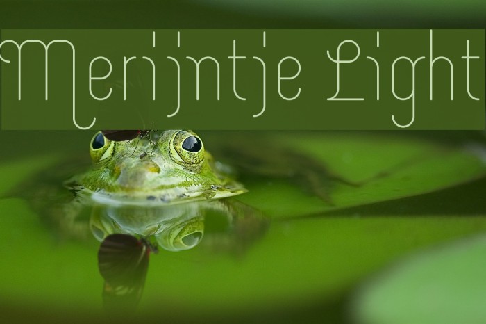 Merijntje Light Font examples