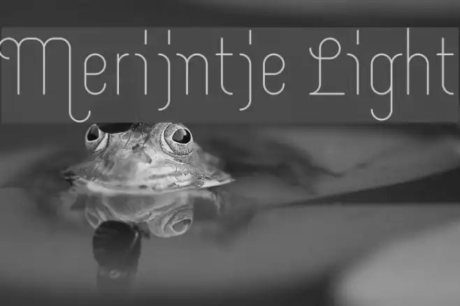 Merijntje Light Example 2