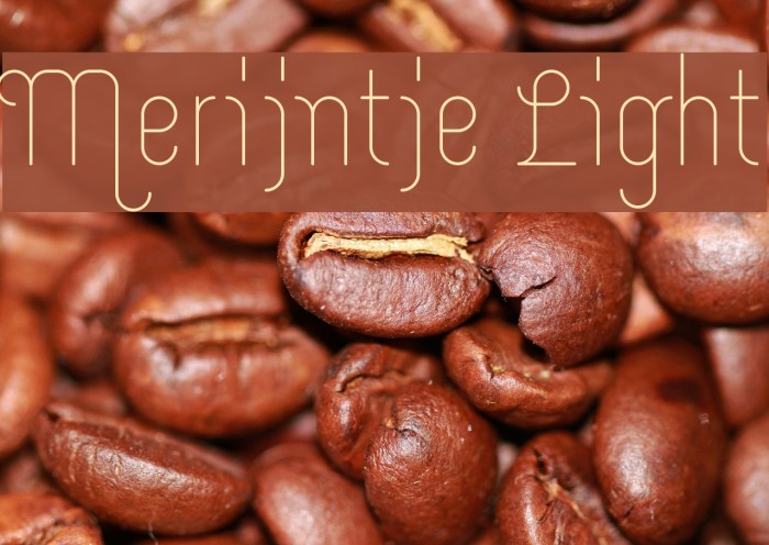 Merijntje Light Font examples