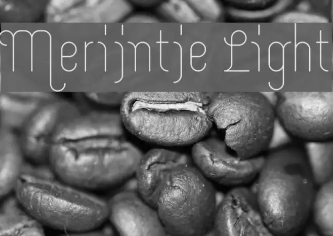 Merijntje Light Example 3