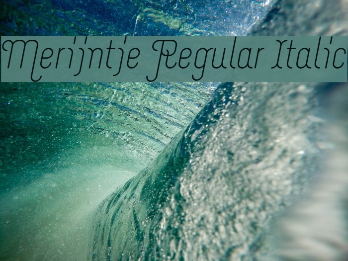 Merijntje Regular Italic Font examples