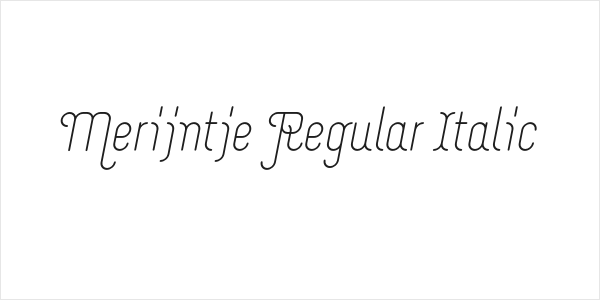 Merijntje Regular Italic Logo