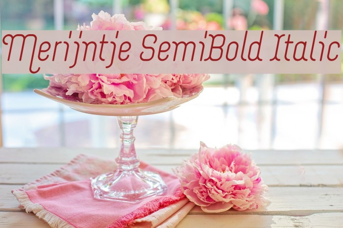 Merijntje SemiBold Italic Example 1