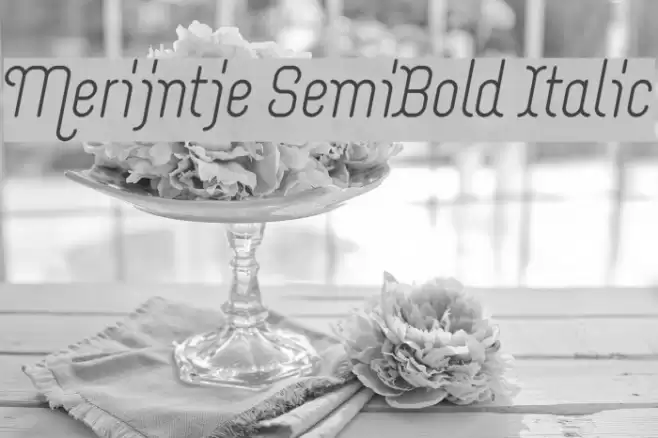 Merijntje SemiBold Italic Font examples