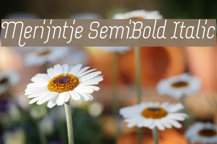 Merijntje SemiBold Italic Example 2