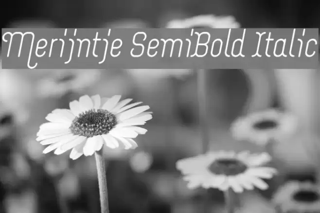 Merijntje SemiBold Italic Font examples
