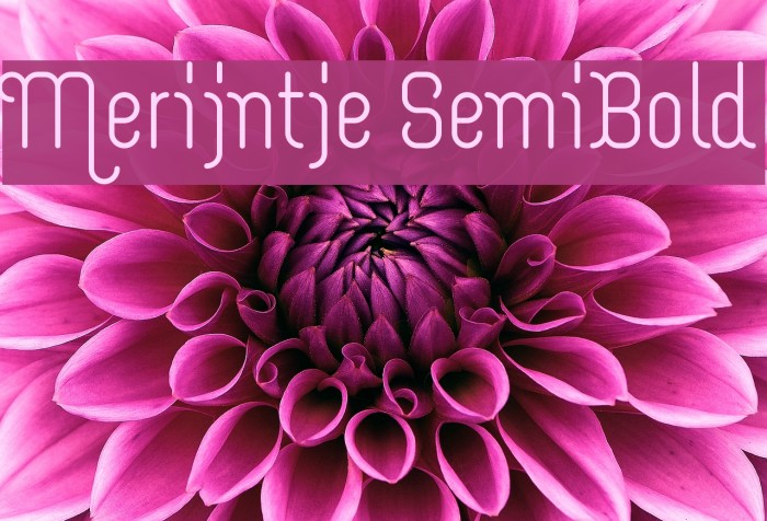 Merijntje SemiBold Font examples