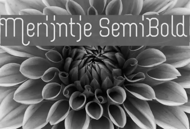 Merijntje SemiBold Example 1