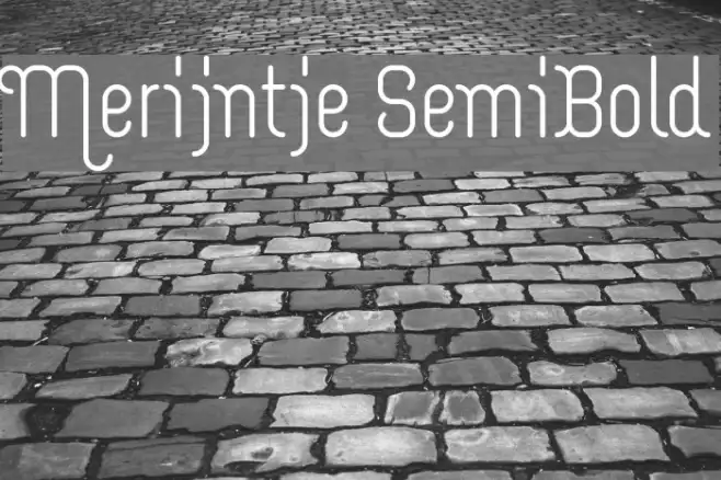 Merijntje SemiBold Example 2
