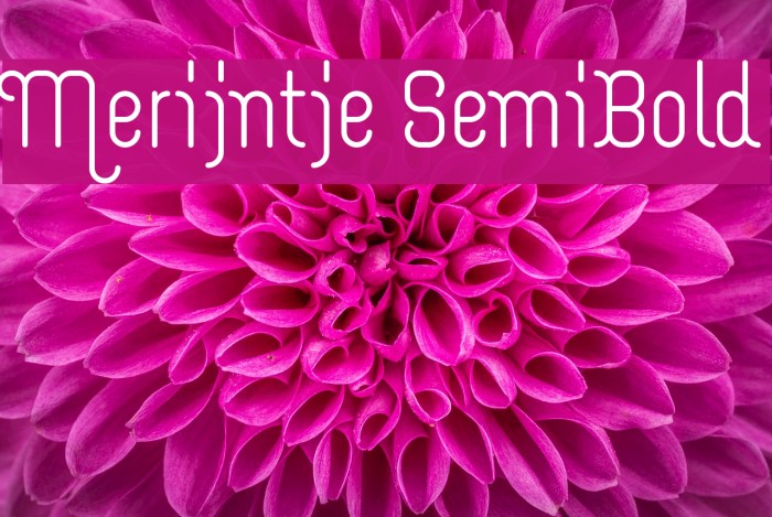 Merijntje SemiBold Font examples