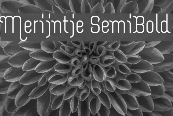 Merijntje SemiBold Example 3