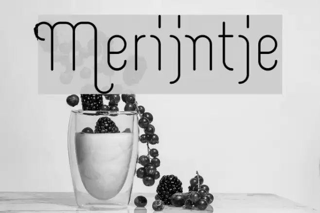 Merijntje Font examples