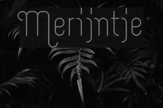 Merijntje Font examples