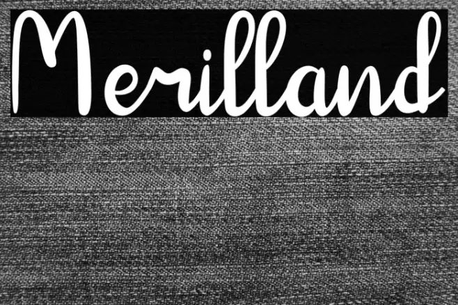 Merilland Example 1