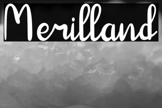 Merilland Example 2